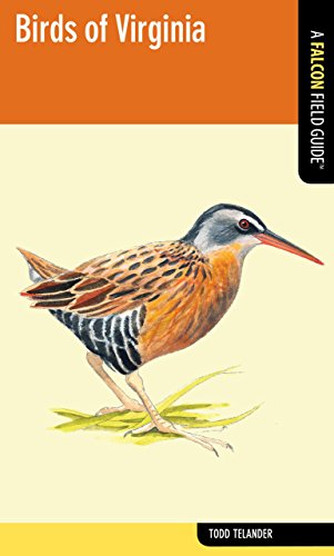 Birds of Virginia [Paperback]