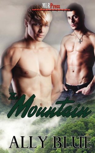 The Mountain [Paperback]