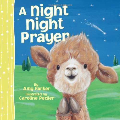 A Night Night Prayer [Board book]