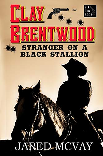 Stranger On A Black Stallion [Paperback]