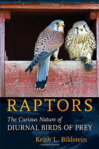 Raptors: The Curious Nature Of Diurnal Birds Of Prey [Hardcover]