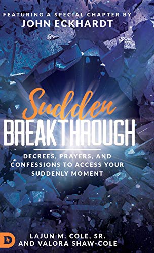 Sudden Breakthrough [Hardcover]