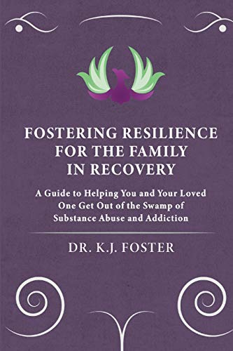 Fostering Resilience For The Family In Recovery [Paperback]