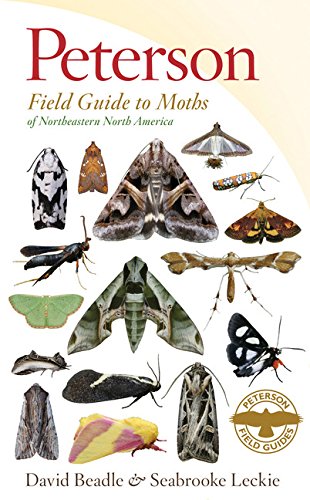 Peterson Field Guide to Moths of Northeastern North America [Paperback]