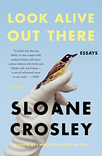 Look Alive Out There: Essays [Paperback]