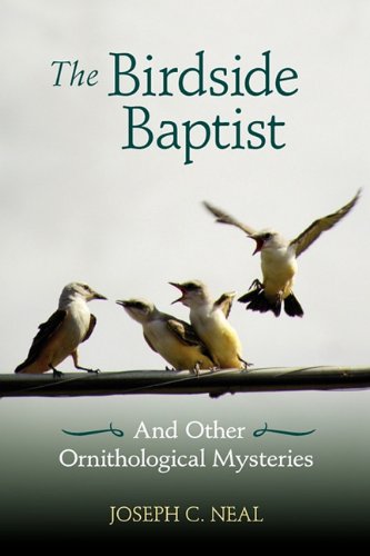 The Birdside Baptist [Paperback]