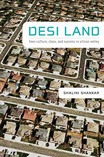 Desi Land Teen Culture, Class, And Success In Silicon Valley [Paperback]