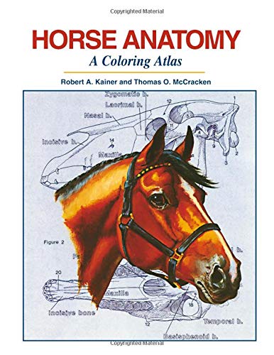 Horse Anatomy : A Coloring Atlas [Unknown]