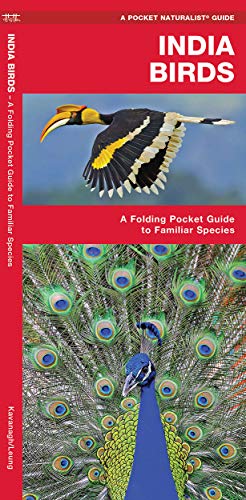 India Birds: A Folding Pocket Guide to Familiar Species [Pamphlet]