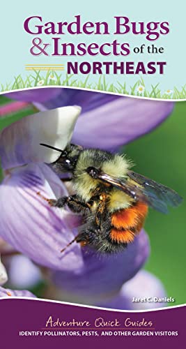 Garden Bugs & Insects of the Northeast: Identify Pollinators, Pests, and Oth [Spiral bound]