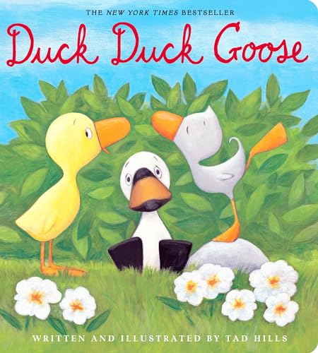 Duck, Duck, Goose [Board book]