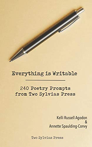 Everything Is Writable  240 Poetry Prompts from Two Sylvias Press [Paperback]