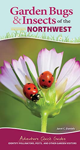 Garden Bugs & Insects of the Northwest: Identify Pollinators, Pests, and Oth [Spiral bound]