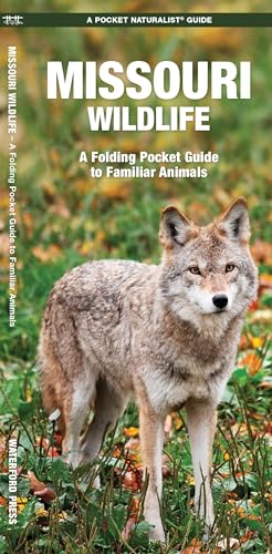 Missouri Wildlife: A Folding Pocket Guide to Familiar Animals [Pamphlet]