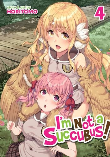 I'm Not a Succubus! Vol. 4 [Paperback]