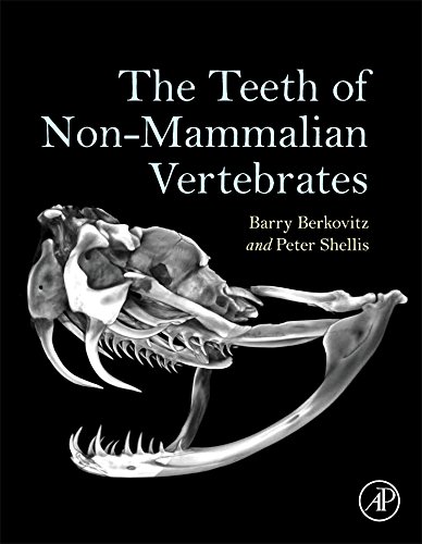 The Teeth of Non-Mammalian Vertebrates [Hardcover]