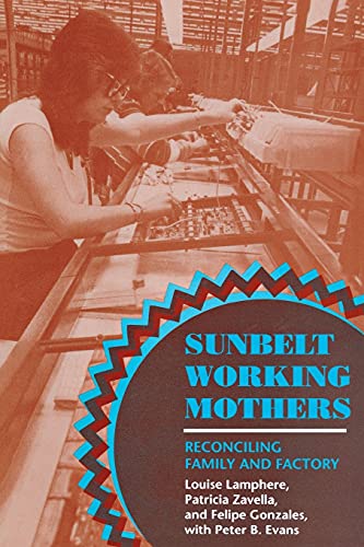 Sunbelt Working Mothers Reconciling Family And Factory (the Anthropology Of Con [Paperback]