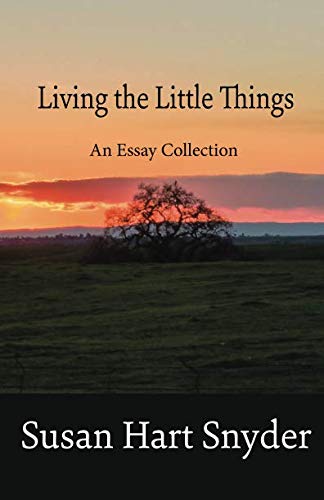 Living the Little Things  An Essay Collection [Paperback]