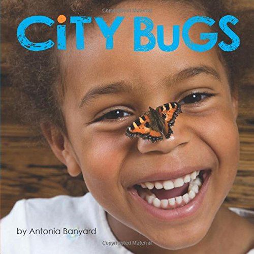 City Bugs [Board book]