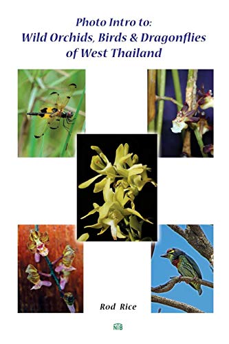 Photo Intro To  Wild Orchids, Birds & Dragonflies of West Thailand [Paperback]