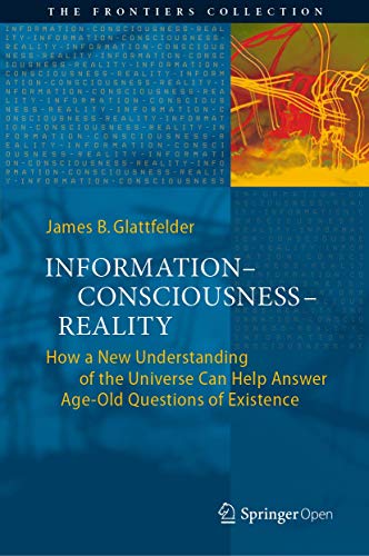 InformationConsciousnessReality: How a New Understanding of the Universe Can H [Hardcover]