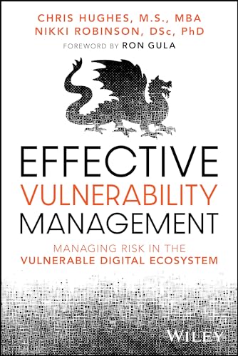 Effective Vulnerability Management: Managing Risk in the Vulnerable Digital Ecos [Paperback]