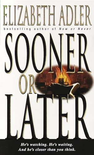 Sooner or Later: A Novel [Paperback]