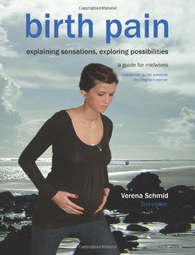 Birth Pain Explaining Sensations, Exploring Possibilities (2nd Ed) [Paperback]