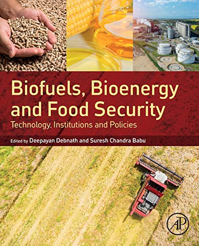 Biofuels, Bioenergy and Food Security Technology, Institutions and Policies [Paperback]