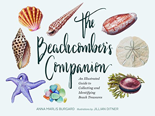 The Beachcomber&39s Companion An Illustrated Guide to Collecting and Identify [Hardcover]