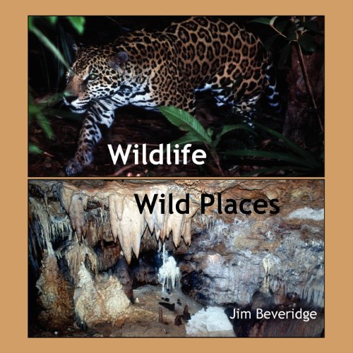 Wildlife-Wild Places [Paperback]