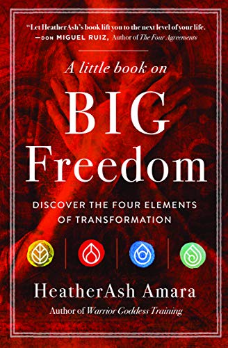 Little Book on Big Freedom : Discover the Four Elements of Transformation [Paperback]