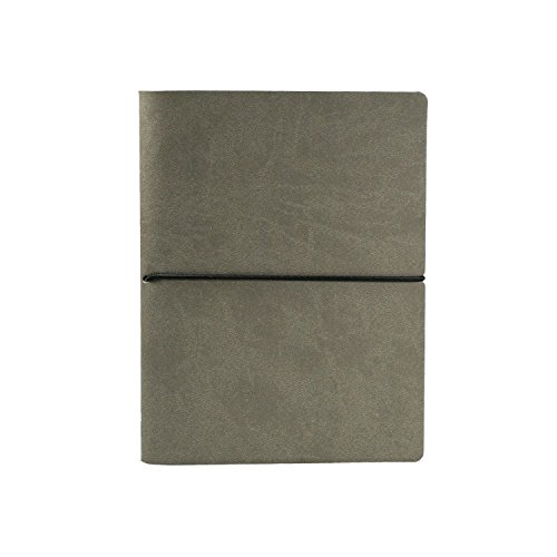 Ciak Lined Notebook: Grey [Leather / fine bindi]