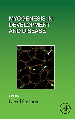 Myogenesis in Development and Disease [Hardcover]