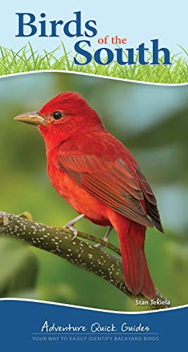 Birds of the South: Your Way to Easily Identify Backyard Birds [Spiral bound]