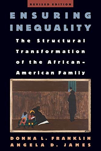 Ensuring Inequality: The Structural Transformation of the African American Famil [Paperback]