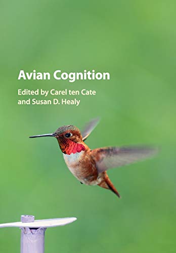 Avian Cognition [Paperback]