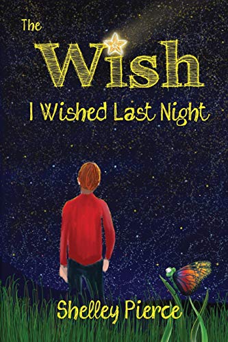 The Wish I Wished Last Night [Paperback]