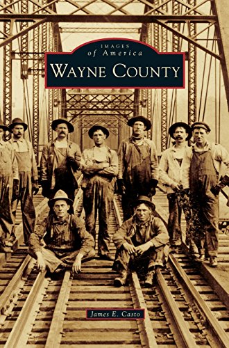 Wayne County [Hardcover]