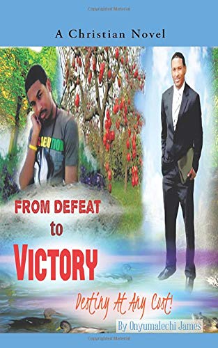 From Defeat To Victory Destiny At Any Cost [Paperback]