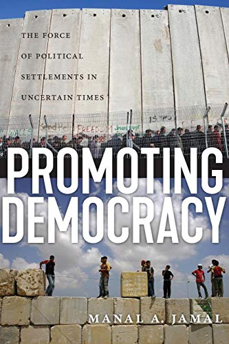 Promoting Democracy The Force of Political Settlements in Uncertain Times [Paperback]