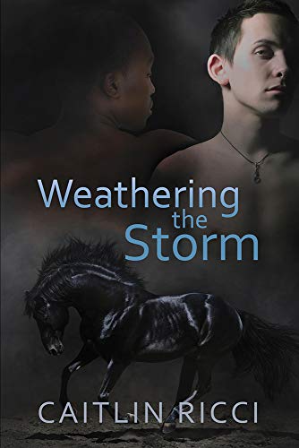 Weathering the Storm [Paperback]