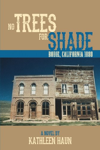 No Trees For Shade Bodie, California [Paperback]