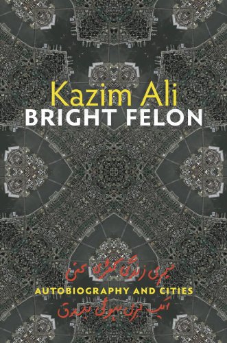 Bright Felon: Autobiography and Cities [Paperback]