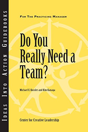 Do You Really Need a Team [Paperback]