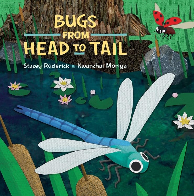 Bugs from Head to Tail [Hardcover]