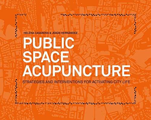 Public Space Acupuncture [Paperback]