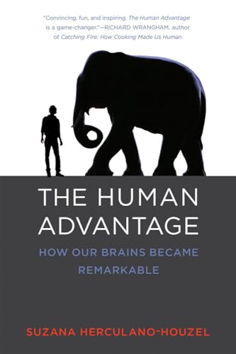 The Human Advantage: How Our Brains Became Remarkable [Paperback]