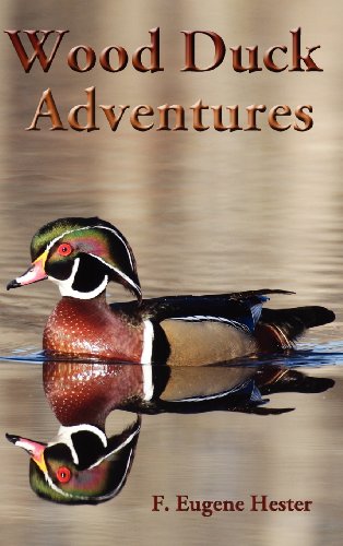 Wood Duck Adventures [Hardcover]