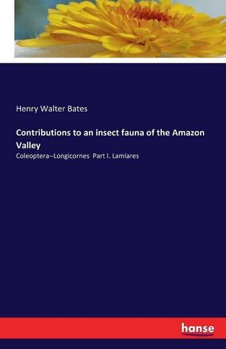 Contributions To An Insect Fauna Of The Amazon Valley [Paperback]